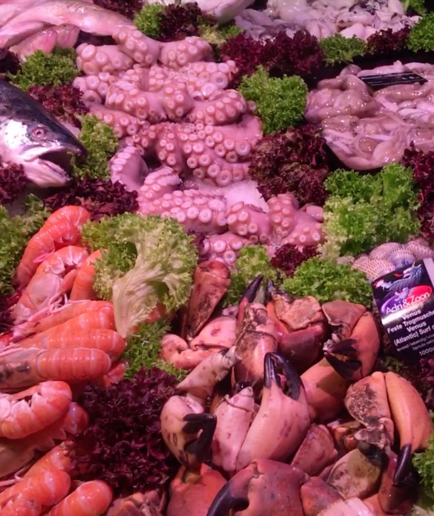 オランダの魚介類