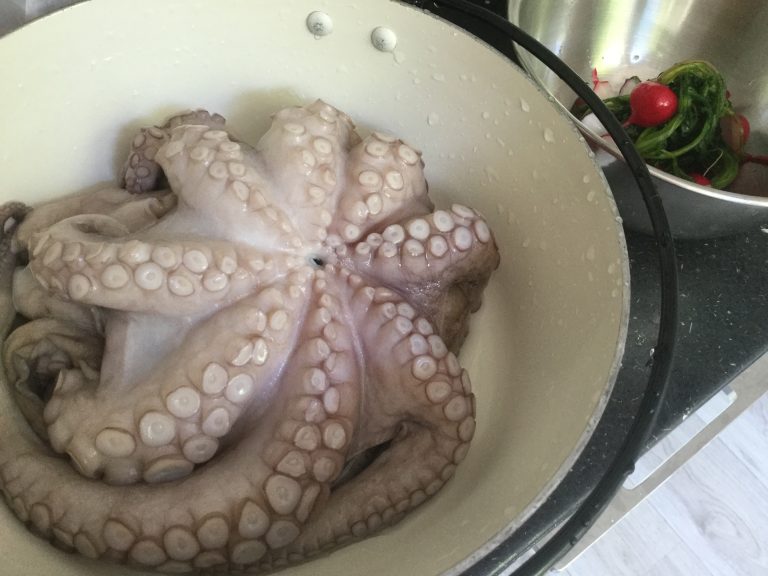 ヨーロッパの魚屋で売られているタコ