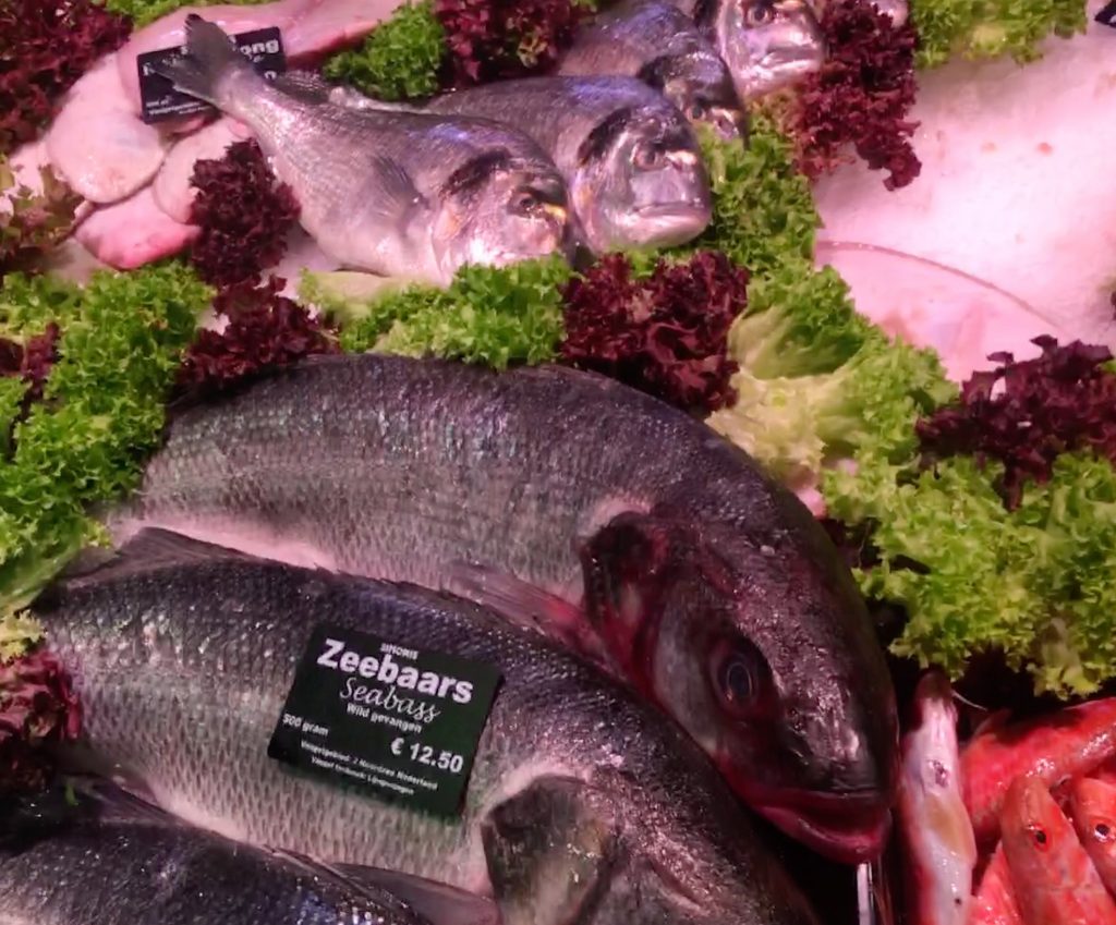 オランダのスズキ